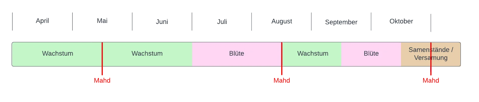 Diagramm dreischürige Mahd