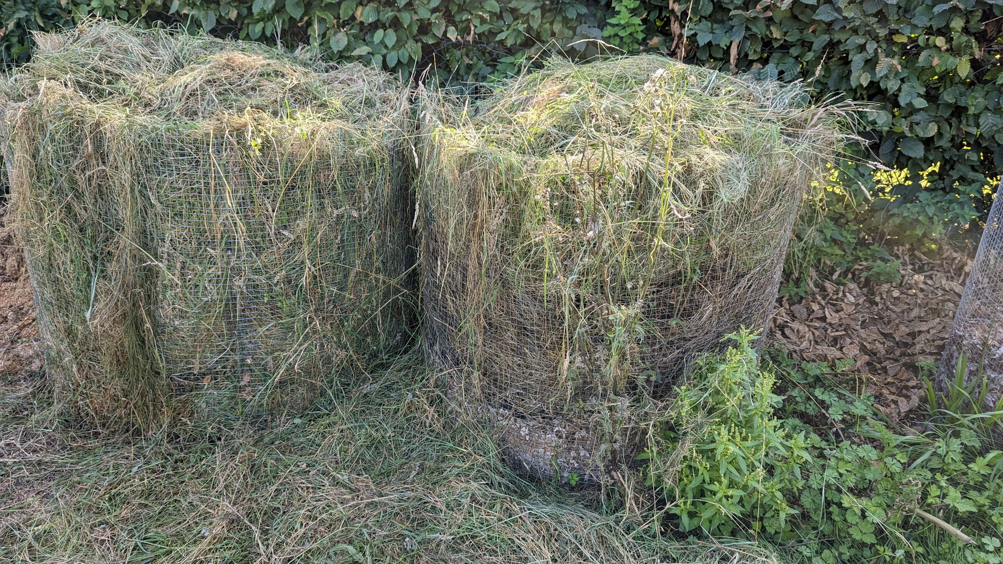 Mehrere Drahttonnen mit Heu