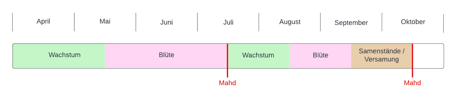 Diagramm zweischürige Mahd